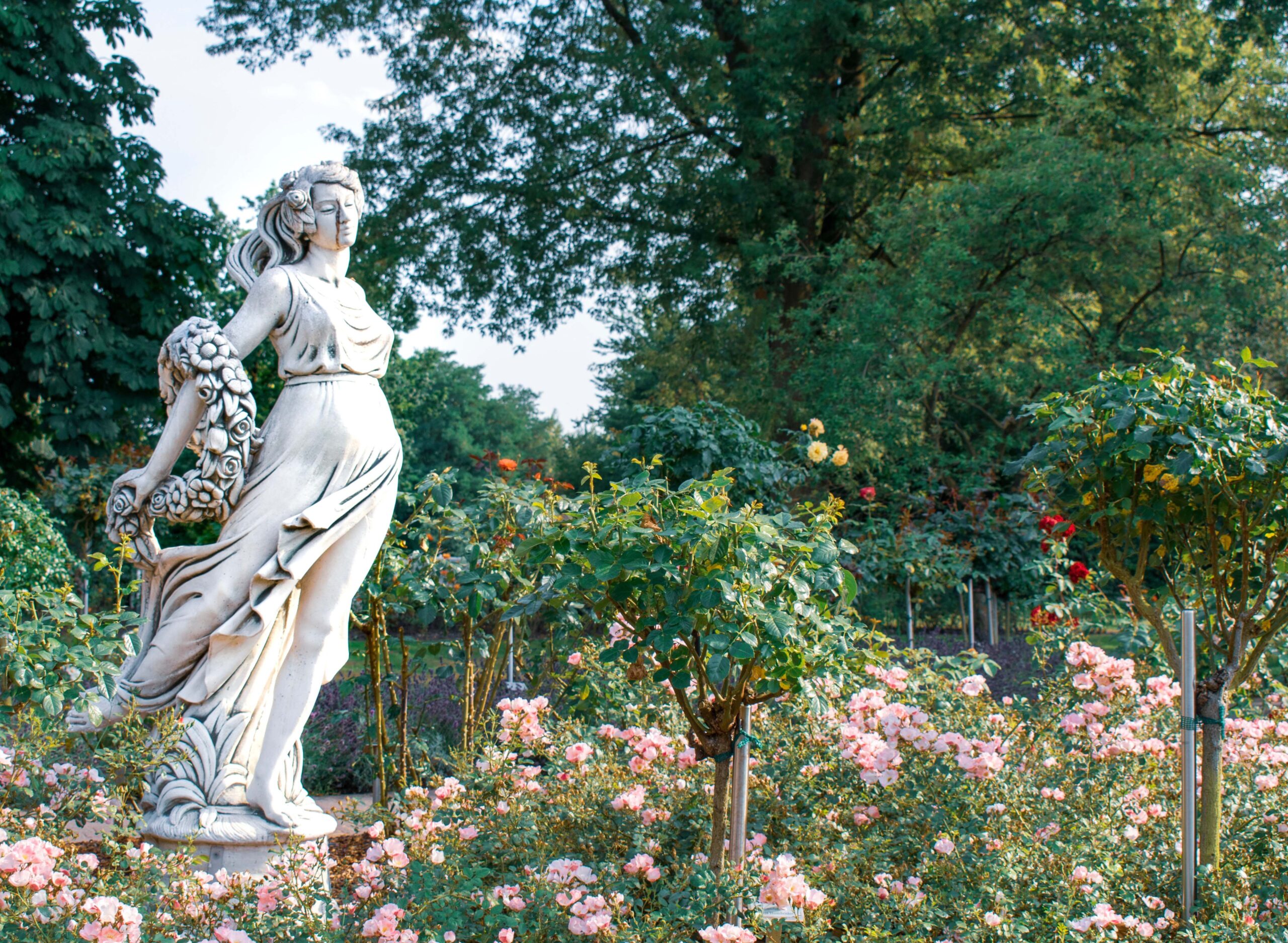 Cremation Near Me: Finding the Best Local Services for Your Needs